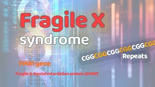 Fragile X syndrome  Genetic disorders  FMR1 gene  CGG repeats  FMRP [upl. by Ahsilak]