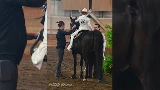 Student by day and world champion by night One Grand Ledge student places in the Morgan Horse Show [upl. by Sitsuj]