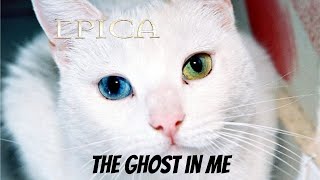 Epica  The Ghost In Me Danse Macabre FIRST TIME REACTION [upl. by Nev]