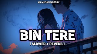 Bin Tere  Slowed  Reverb   Rakulpreet Singh ❤️ Jackky Bhagnani  NR Music Factory [upl. by Fine]