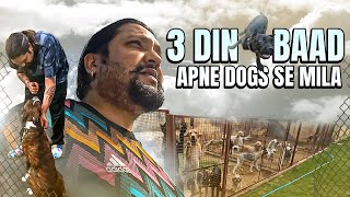 Flood ki wajah se 3 Din Baad Apne Dogs se Mila  Tatva K Vlogs [upl. by Mazlack]