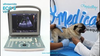 Ultrasonido Veterinario ECO5 CHISON [upl. by Hamnet362]