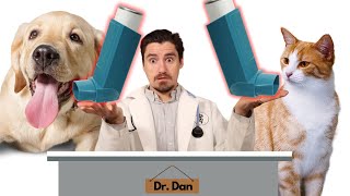 Inhalers for dogs and cats Dr Dan explains [upl. by Carlisle]