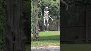 What happened to all the Giant Skeletons nephilim anunaki smithsonian skeletonshorts skeletons [upl. by Kory500]