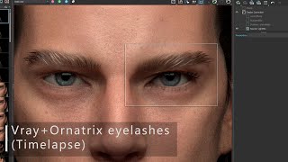 056 VRayOrnatrix for 3ds Max  haireyelashes workflow [upl. by Dibri875]