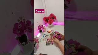 tarot amor tarotamor tarotreading oraculo horoscopo tarotcards [upl. by Levison]