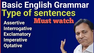 Different Types of Sentences EVERYONE Should Know [upl. by Anyaled913]