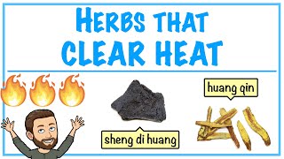 Herbs that Clear Heat  Introduction to Chinese Herbology in TCM [upl. by Ai]