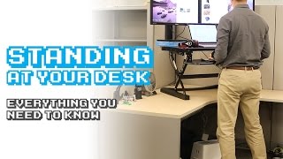 Standing Desks Everything You Need to Know [upl. by Einon728]