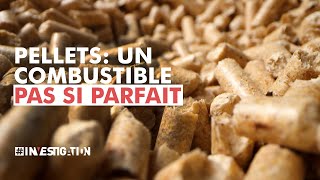 Les pellets la solution contre la crise énergétique  investigation [upl. by Worlock]