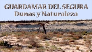 Documental Guardamar del Segura Dunas y Naturaleza Full HD [upl. by Anaujait296]