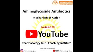 Aminoglycoside antibiotics Mechanism of action [upl. by Vinnie]