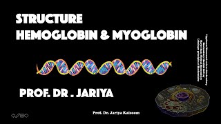 HEMOGLOBIN MYOGLOBIN STRUCTURE [upl. by Amarillis420]