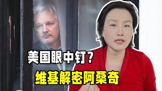 維基解密創始人阿桑奇，為啥被美國全球通緝？曝光美國多少秘密？ [upl. by Barren493]