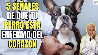 🚨5 SINTOMAS DE INSUFICIENCIA CARDIACA EN PERROS 🚨 [upl. by Manuel]