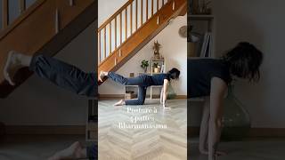 🧘🏽‍♀️CHALLENGE 30 POSES POUR TOUS🧘🏽‍♀️ Pose 1930 bharmanasana posture à 4 pattes [upl. by Florence]