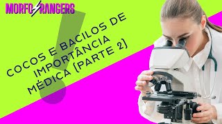 Cocos e bacilos de importância médica Parte 2 [upl. by Yelekalb]