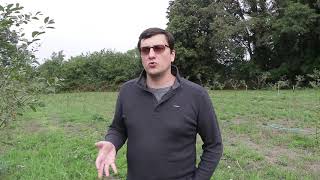 Gert Christiaens in a field of Schaarbeekse cherry trees at Oud Beersel [upl. by Joy]