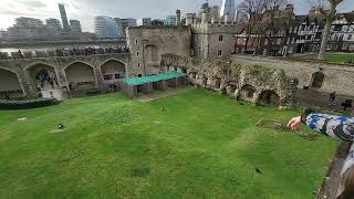 Ravens at the Tower of London [upl. by Adnaugal]