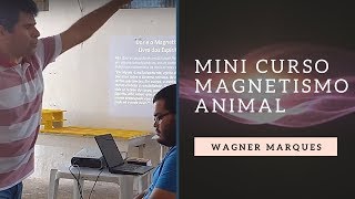 Minicurso de magnetismo animal [upl. by Shifra]