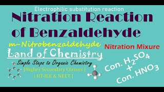 Electrophilic substitution reactions of benzaldehyde Nitration mnitro benzaldehyde Class12 [upl. by Nena]