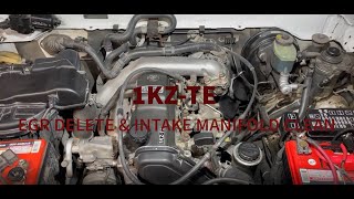 1KZTE EGR DELETE  TOYOTA PRADO HILUX SURF 4RUNNER HIACE [upl. by Gruchot]