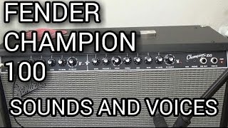 REVIEW  Fender Champion 100  Sons e Vozes Sounds and Voices 23 [upl. by Ulu]