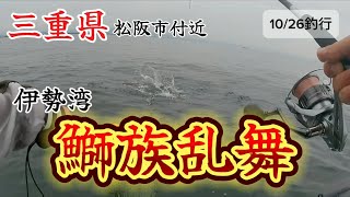 三重県松阪市付近！青物好調でした！（1026釣行 [upl. by Ocirnor]