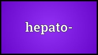 Hepato Meaning [upl. by Weisberg]