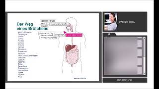 Anatomie Physiologie MagenDarm1 [upl. by Berni]