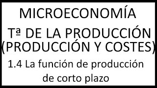 14 La función de producción de corto plazo [upl. by Jacy722]