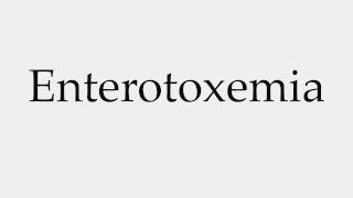 How to Pronounce Enterotoxemia [upl. by Libby506]