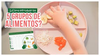 Primeros alimentos AC ¿Cómo introducir los 5 grupos de alimentos [upl. by Trab]