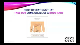 ICD10PCS Root Operation Overview Part 1 [upl. by Aecila]