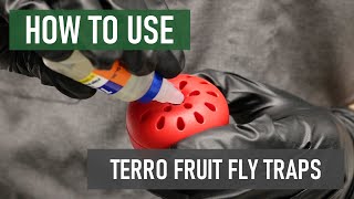 How to Use Terro Fruit Fly Traps Get Rid of Fruit Flies Fast [upl. by Eidas]