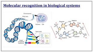 Supramolecular Chemistry  Molecular Receptors  III Sem MSc Pharmaceutical Chemistry  Malayalam [upl. by Horne]