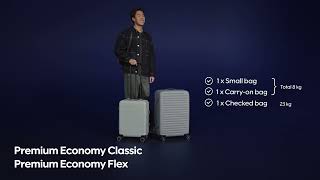 Baggage on Finnair flights Premium Economy Classic amp Premium Economy Flex [upl. by Aimet251]