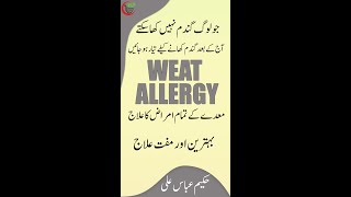 WHEAT ALLERGY WORLD BEST TREATMENT BY HAKEEM ABBAS ALI hakeemabbasali [upl. by Carny390]