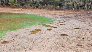 Possible harmful algal blooms reported at Lake Lanier  What to do if you see one [upl. by Koziel]