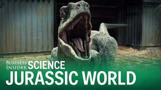 5 Science Facts Jurassic World Totally Ignored [upl. by Madelene]