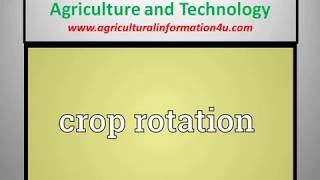 What is the Importance of Crop Rotation in Mixed Cropping [upl. by Marchal503]