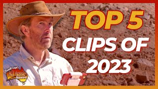 Your Favourite Coight Clips of 2023  All Aussie Adventures [upl. by Plume700]