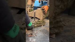 Power mega wood cutting machine recommended [upl. by Ntsud444]