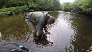 Grayling fishing on the River Irfon Wales June 2017 [upl. by Liba]