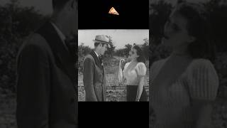 Highway Hell 1941 PizzaFLIX🍕TEASER2 [upl. by Edward320]