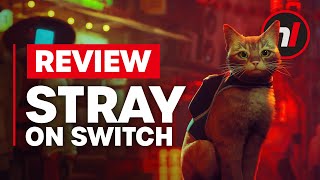 Stray Nintendo Switch Review  Is It Worth It [upl. by Pleasant]