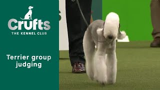 Group Judging Terrier and Presentation  Crufts 2023 [upl. by Aonehc615]