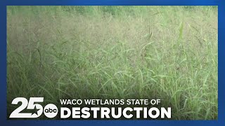 Lake Waco Wetlands in state of destruction as the area celebrates its 20th anniversary [upl. by Humble382]