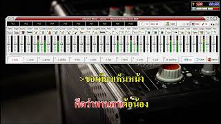 ขอเพียงเห็นหน้า Vแสดงสด Cover Midi คาราโอเกะ [upl. by Lopes620]