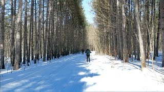 Cross Country Ski at Horseshoe Resort Ontario Canada  Outdoor Adventures [upl. by Atiekahs]